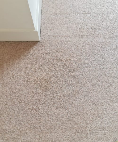 after stain carpet cleaning - Skyline Cleaning